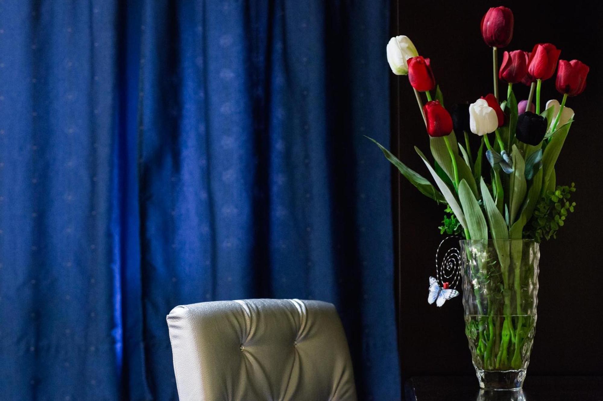 Hotel Tulipa Bragança Værelse billede